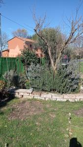 Zahrada ubytování Casa di Igor