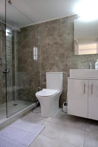 a bathroom with a toilet and a glass shower at Erinaki Apartments in Kissamos