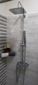 eine Dusche mit Duschkopf im Bad in der Unterkunft A Bringás Apartman in Balatonfüred