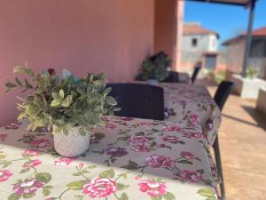 Foto sihtkohas Nettuno asuva majutusasutuse B&B Corvara galeriist
