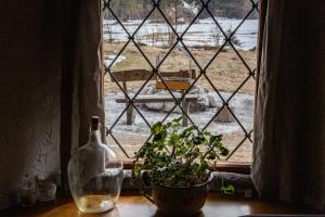 a window with a plant and a bottle on a table at Marko's eco cabin in Bled