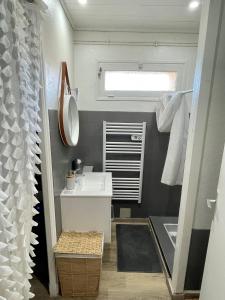 La petite salle de bains est pourvue d'un lavabo et d'un miroir. dans l'établissement Maison rénovée en plein cœur des Cévennes, à Villeneuve