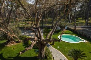 Luxury B&B La Riserva Dannunziana内部或周边的泳池