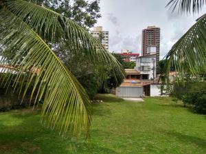 a palm tree in a park with buildings in the background at Pousada Toca do Tato in Natal