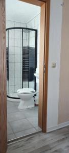 łazienka z toaletą i umywalką w obiekcie Landpension Haupt w mieście Sebnitz