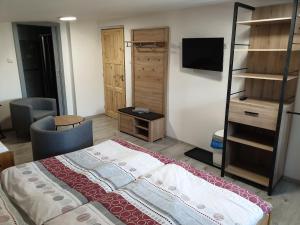 TV a/nebo společenská místnost v ubytování Penzion Diana