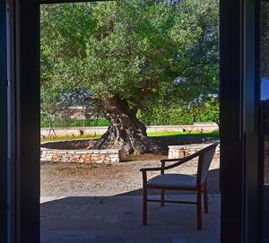 A garden outside Casa Polinisso