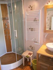 y baño con ducha y lavamanos. en Aux Sources de L'Ancre, en Miraumont