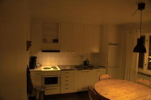 Kuhinja ili čajna kuhinja u objektu Lapland Stuga & Tours Cottage E