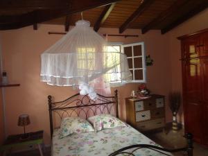 a bedroom with a bed with a chandelier above it at Bel Ti case dans la verdure hauteurs de Deshaies in Deshaies