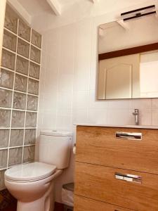 a bathroom with a toilet and a mirror at Apartamentos y Habitaciones Villa Marina in La Caleta