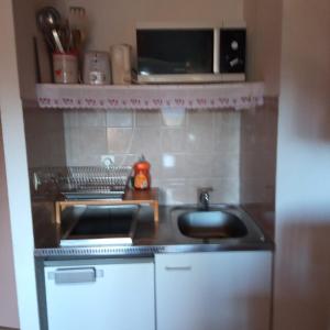 una piccola cucina con lavandino e forno a microonde di Appartement dernier étage au pied des pistes HIRMENTAZ a Bellevaux