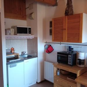 una pequeña cocina con fregadero y microondas en Appartement dernier étage au pied des pistes HIRMENTAZ, en Bellevaux