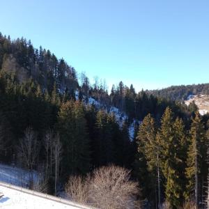 una colina cubierta de nieve con un bosque de árboles en Appartement dernier étage au pied des pistes HIRMENTAZ en Bellevaux