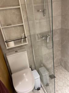 a bathroom with a toilet and a glass shower at Pepper Tree in Egina