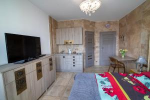 TV a/nebo společenská místnost v ubytování Apartamenty Gdynia City Center