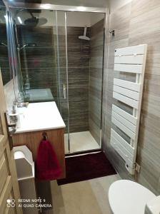 La salle de bains est pourvue d'une douche et d'un lavabo. dans l'établissement Au Village, à Rennes-le-Château