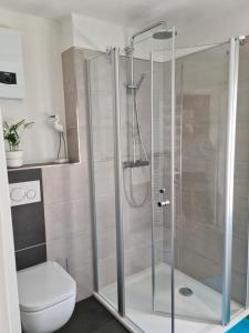 uma casa de banho com um chuveiro e um WC. em Ferienwohnung Pees em Baumholder