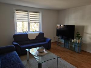 uma sala de estar com um sofá azul e uma televisão de ecrã plano em Ferienwohnung Pees em Baumholder