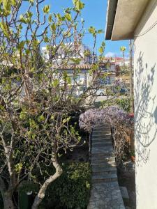 Fotografie z fotogalerie ubytování Guest House Sunce v destinaci Novi Vinodolski