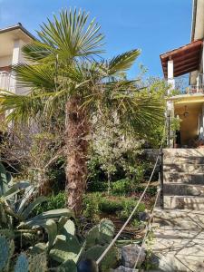 Zahrada ubytování Guest House Sunce
