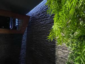 a green plant hanging from the side of a wall at Urban Suite spa in Veglie