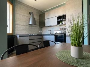 Kuchyň nebo kuchyňský kout v ubytování Urban Suite spa