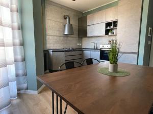 Kuchyň nebo kuchyňský kout v ubytování Urban Suite spa