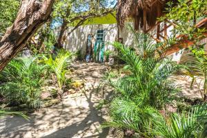 Zahrada ubytování La Casa de Mia Holbox