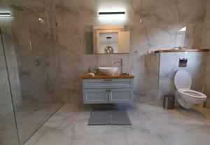 een badkamer met een wastafel, een douche en een toilet bij King's bed - Stay Royal and Stylish Bahai's Garden in Haifa