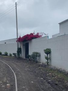 Fotografie z fotogalerie ubytování Casa campestre Finca la Roca v destinaci La Mesa