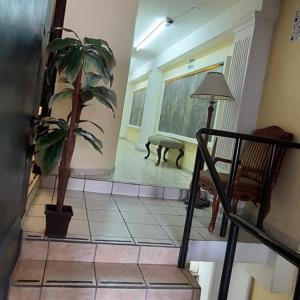 阿瓜斯卡連特斯的住宿－Hotel el Cortes，一间客厅,里面种植了盆栽植物,设有楼梯