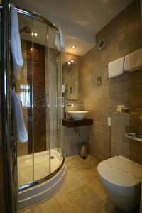a bathroom with a shower and a toilet and a sink at Ramsey House - Luxury Licensed B&B - Parking and Guest Lounge in St. Davids