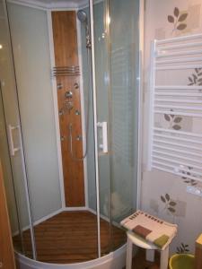 eine Dusche mit Glastür im Bad in der Unterkunft Aux Sources de L'Ancre in Miraumont