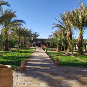 a walkway through a park with palm trees at Serdrar Camp in Timganine