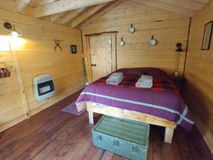 Postel nebo postele na pokoji v ubytování Blackburn Cabins - McCarthy, Alaska