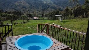 a blue frisbee sitting on top of a wooden deck at Ecohotel Pinohermoso Reserva Natural in Salento