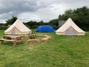 three tents and a picnic table in a field at Twinkle Bell 2 in Bartley