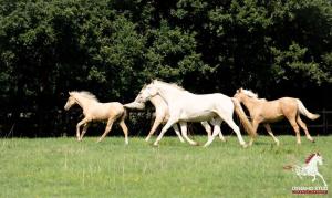 Gallery image of Twinkle Bell 2 in Bartley