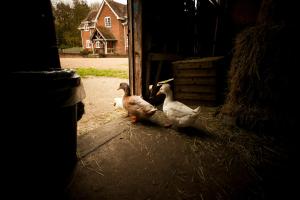 Gallery image of Twinkle Bell 2 in Bartley