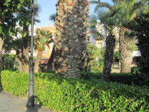 Vonkajšia záhrada v ubytovaní Apartment ROC SANT GAÏTA - SEAFRONT View - PORT AVENTURA