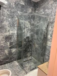 y baño con ducha y puerta de cristal. en Apartment Aria en Travnik