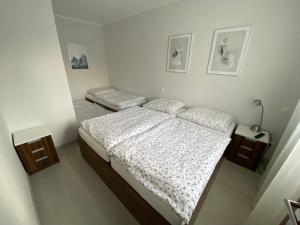 Voodi või voodid majutusasutuse Apartmán v Koutech toas