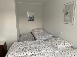 Voodi või voodid majutusasutuse Apartmán v Koutech toas