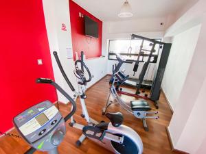 Fitness centrum a/nebo fitness zařízení v ubytování Hotel El Relicario