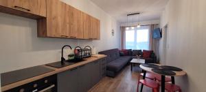 a kitchen and living room with a couch and a table at Nest Apartament in Zator