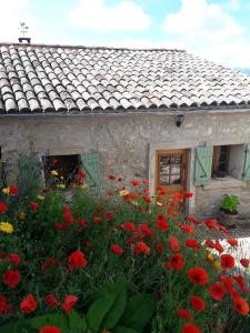 un campo de flores rojas frente a una casa de piedra en Maison aux Lavandes The Studio, en Vaumeilh