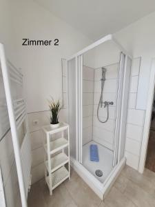 a white bathroom with a shower with a blue sponge at Altstadt Appartements in Wismar