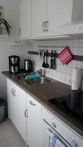 a kitchen with a sink and a counter top at Wohlfühlort in Zwenkau