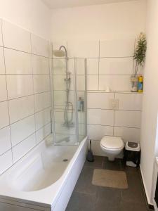 a white bathroom with a shower and a toilet at Apartments Lissy I und II in Neunkirchen